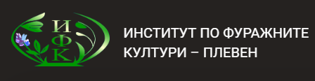 ЕЛИНЖ